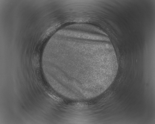 X0000076390303200611031702