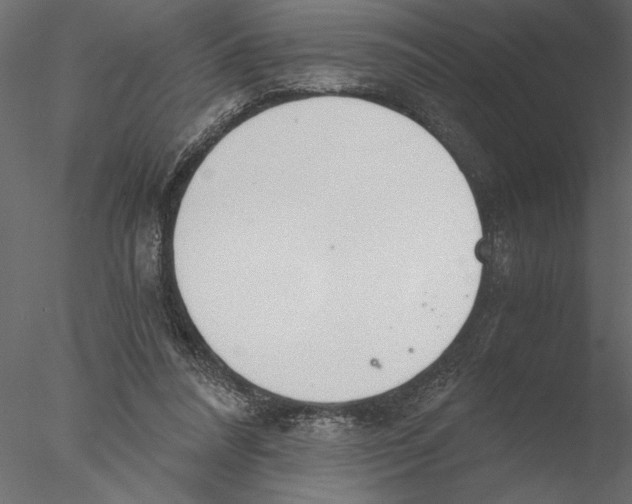 X0000076390304200611031702