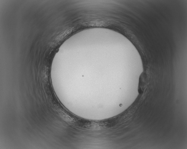 X0000076390305200611031702