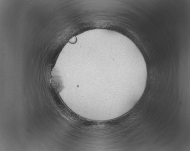 X0000076390307200611031702