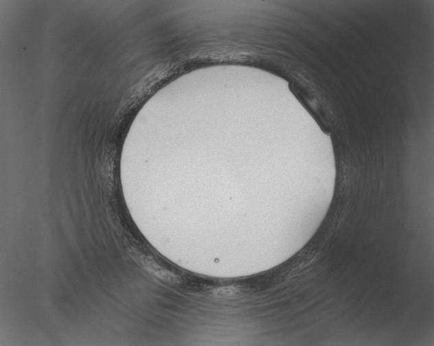 X0000076390309200611031702