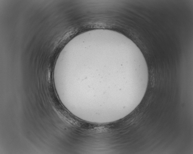 X0000076390310200611031702