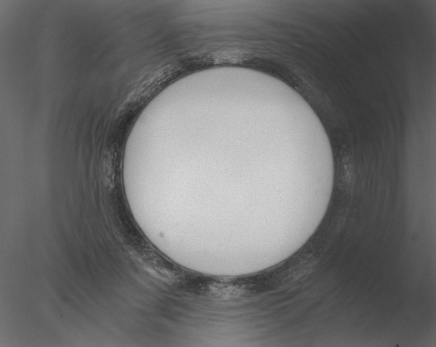 X0000076390311200611031702