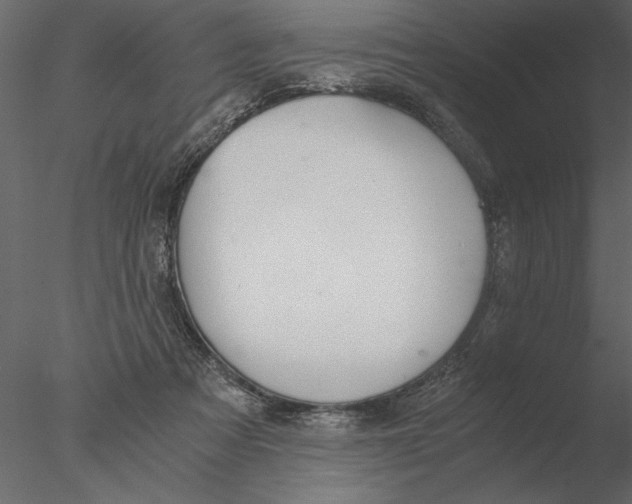 X0000076390313200611031702