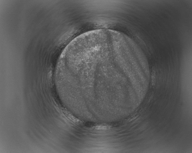 X0000076390314200611031702