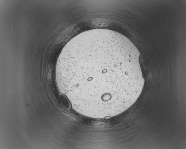 X0000076390315200611031702