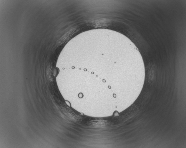 X0000076390316200611031702