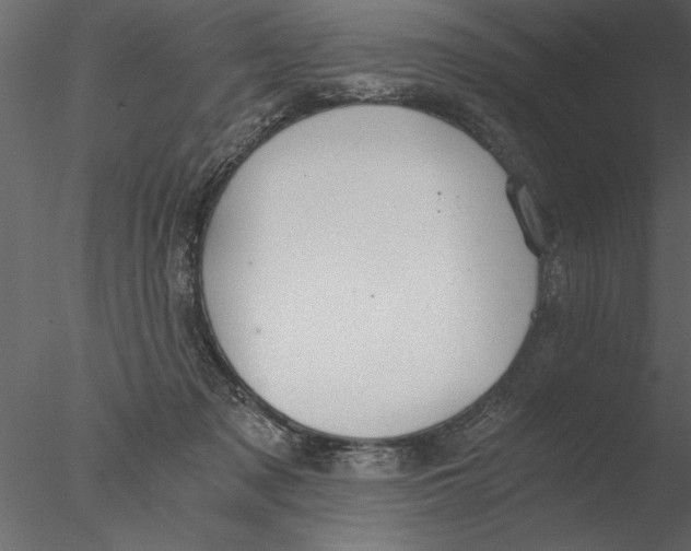 X0000076390317200611031702