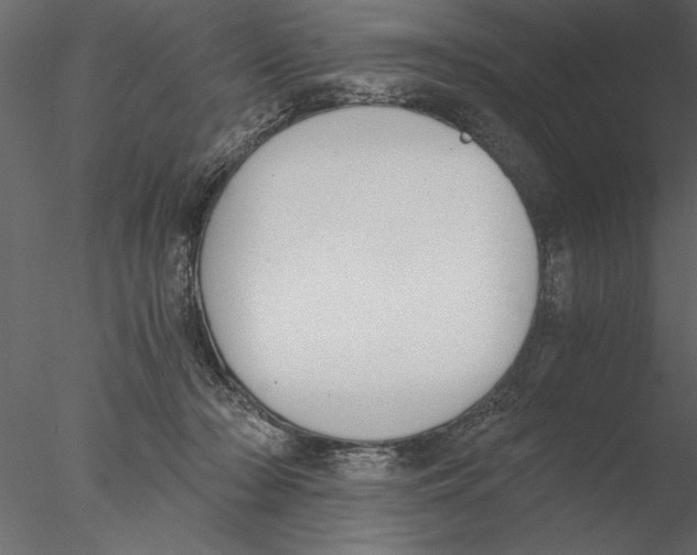 X0000076390318200611031702