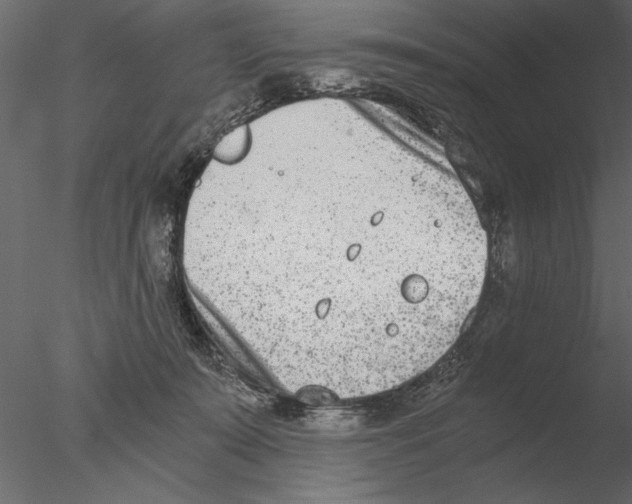 X0000076390319200611031702