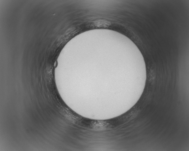 X0000076390321200611031702