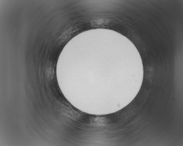 X0000076390324200611031702