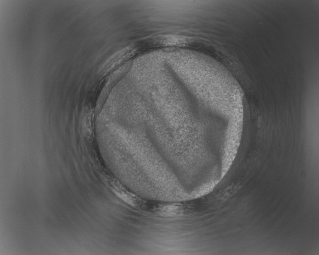 X0000076390325200611031702