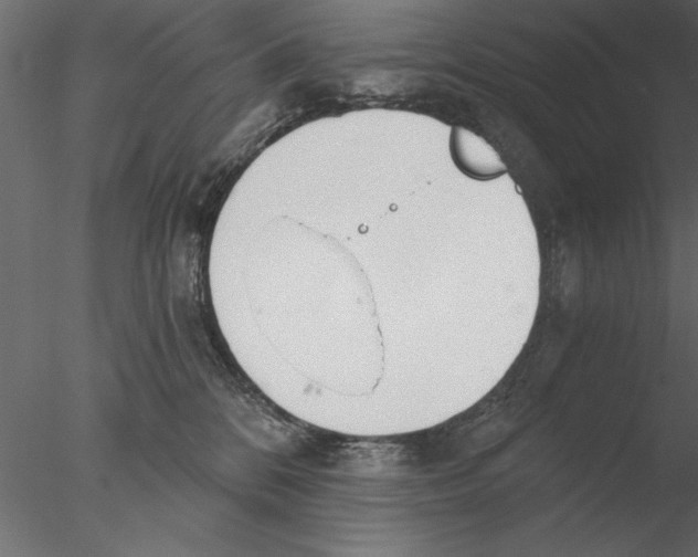 X0000076390328200611031702