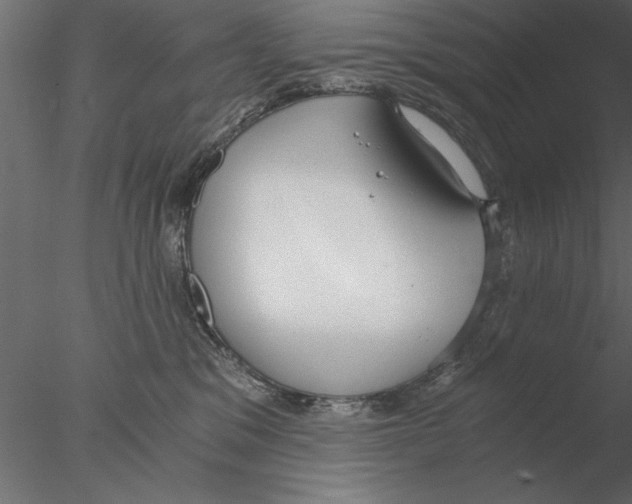 X0000076390329200611031702