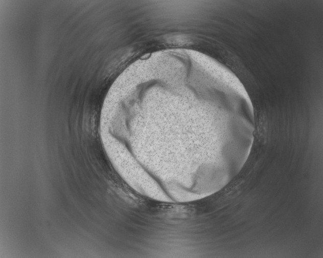 X0000076390330200611031702