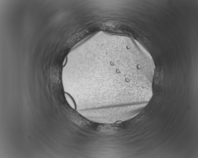 X0000076390331200611031702