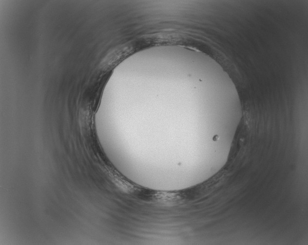 X0000076390333200611031701