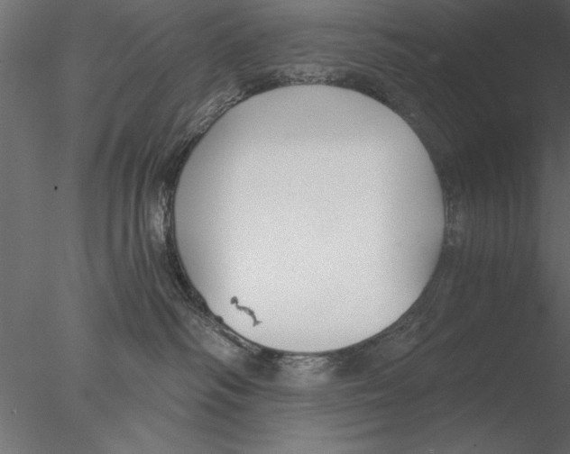 X0000076390334200611031701