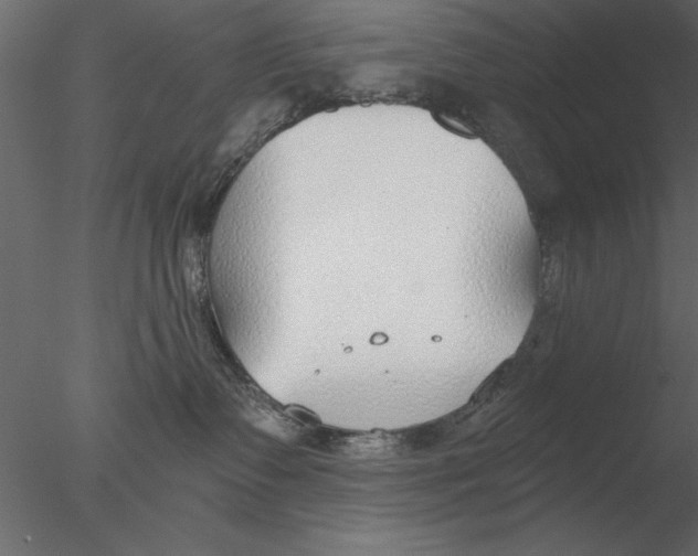 X0000076390335200611031701