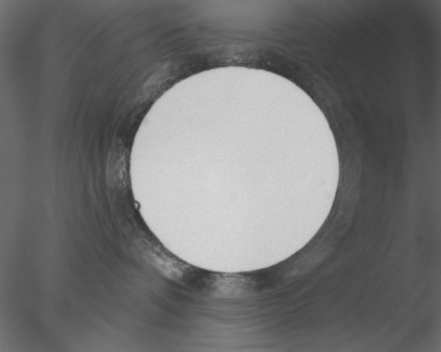 X0000076390336200611031701