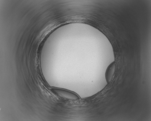 X0000076390338200611031701