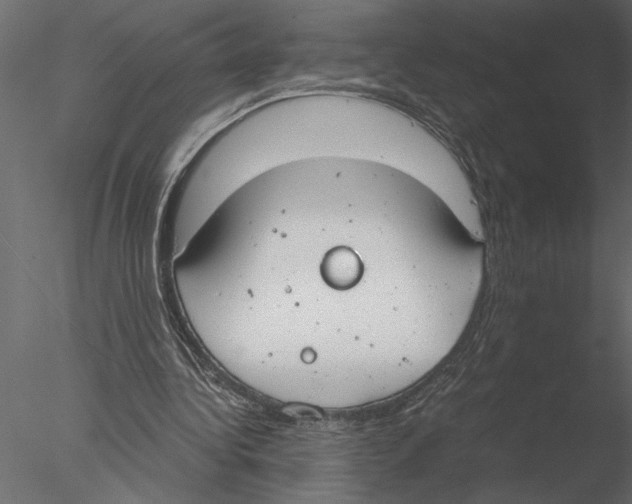 X0000076390340200611031701