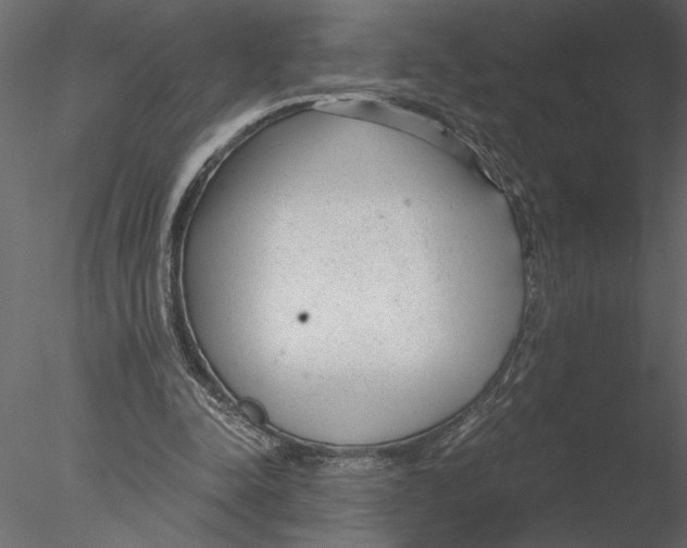 X0000076390342200611031701