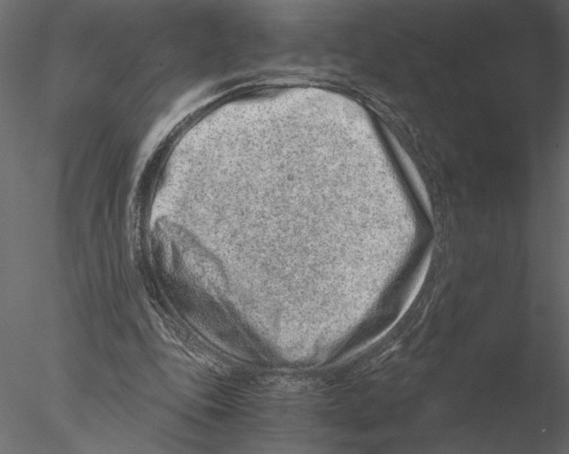 X0000076390343200611031701