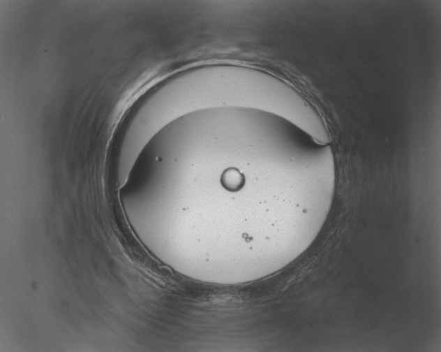 X0000076390344200611031701