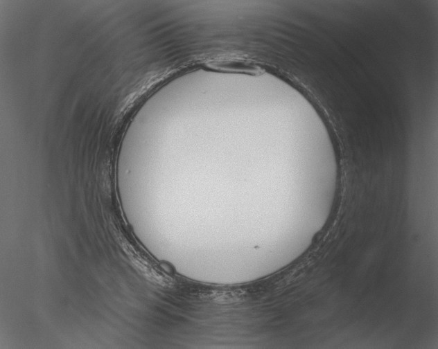 X0000076390345200611031701