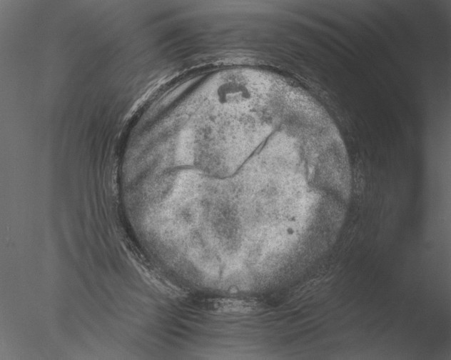 X0000076390347200611031701