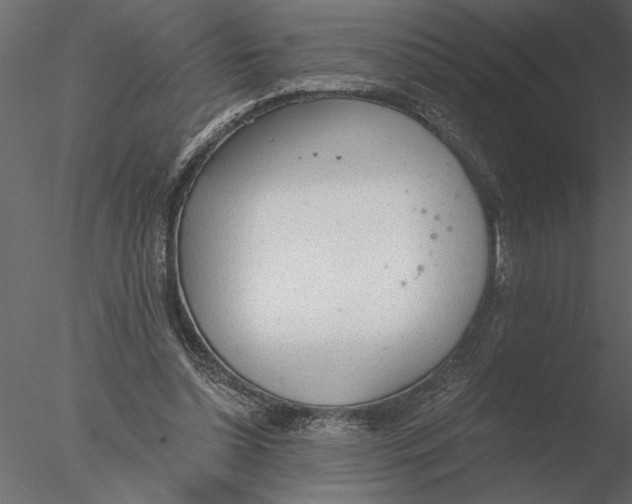 X0000076390348200611031701