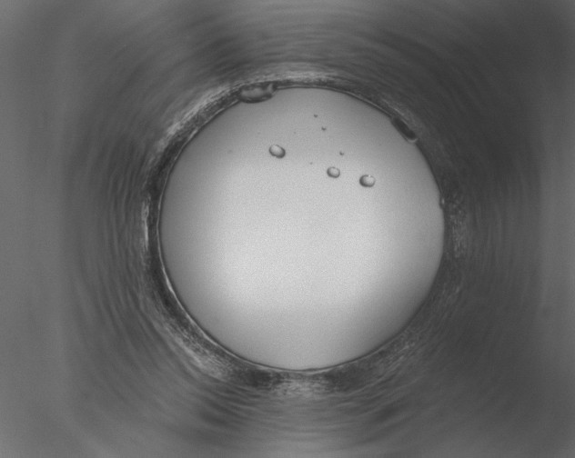 X0000076390350200611031701