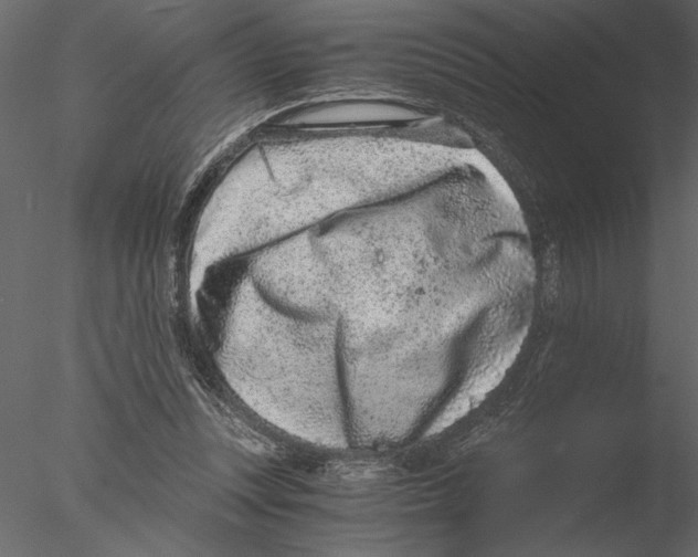 X0000076390351200611031701