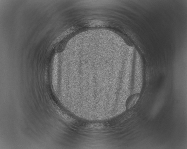 X0000076390353200611031701