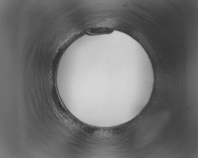 X0000076390354200611031701