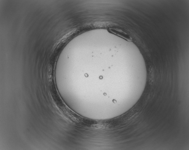 X0000076390356200611031701