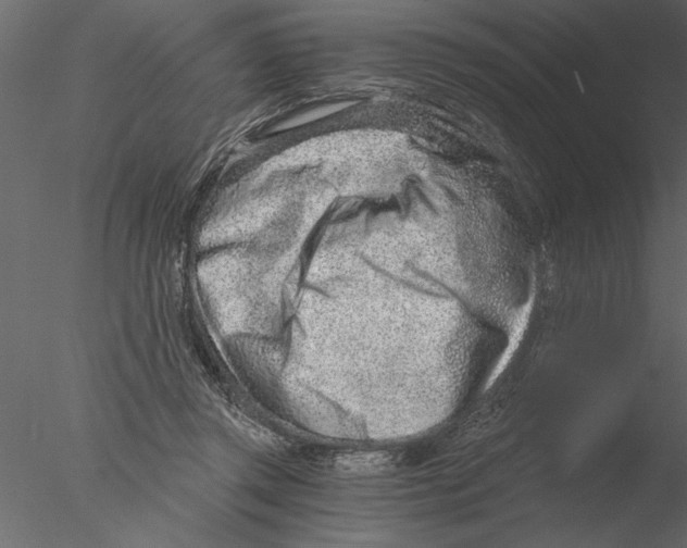 X0000076390357200611031701