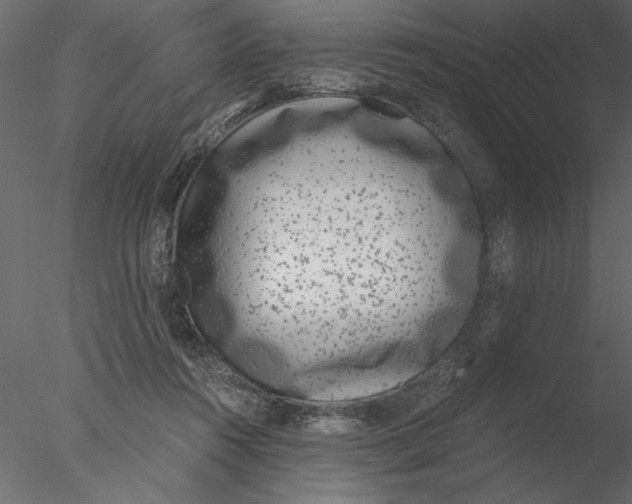 X0000076390360200611031701