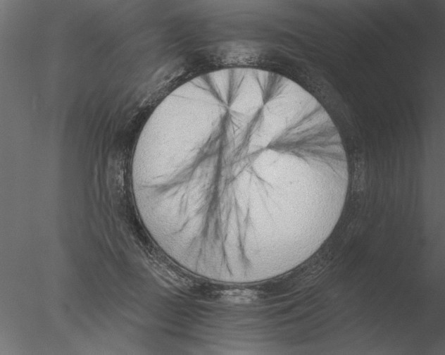 X0000076390363200611031701