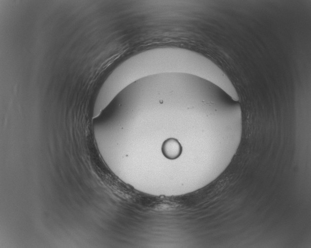 X0000076390364200611031701