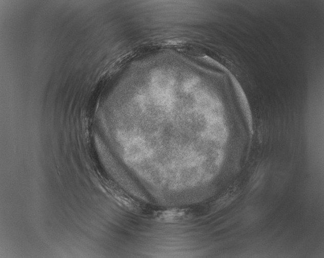 X0000076390366200611031701