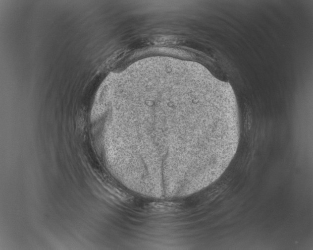 X0000076390367200611031701