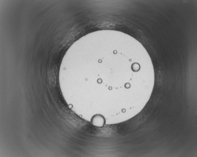 X0000076390370200611031701