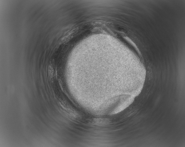 X0000076390371200611031701