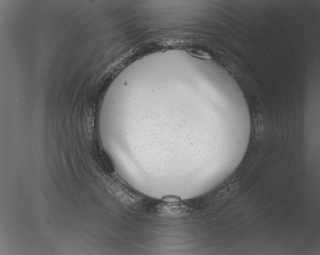 X0000076390372200611031701