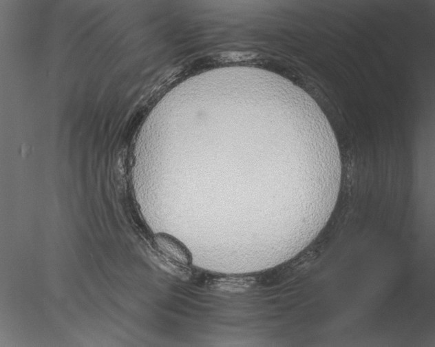 X0000076390373200611031701