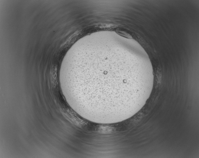 X0000076390376200611031701