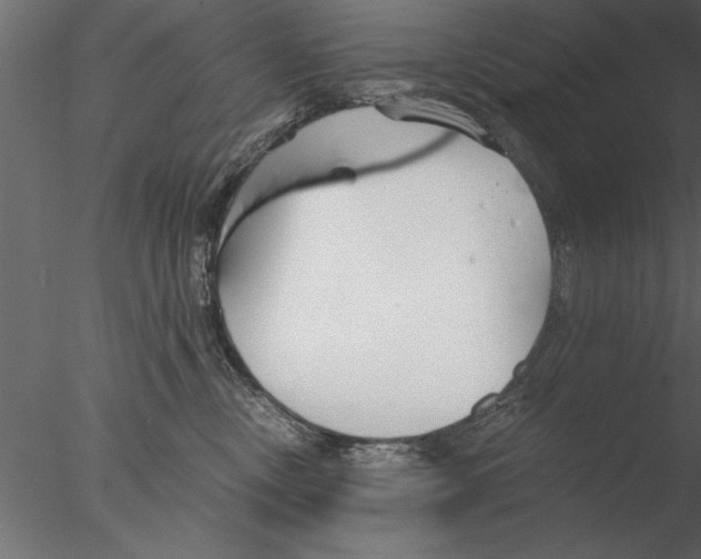 X0000076390378200611031701